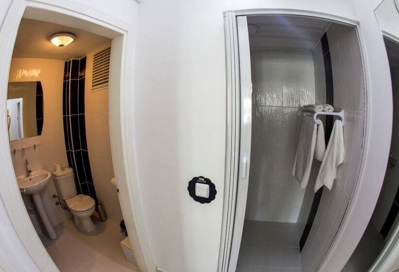 إستديو عائلى, Bilge Suite