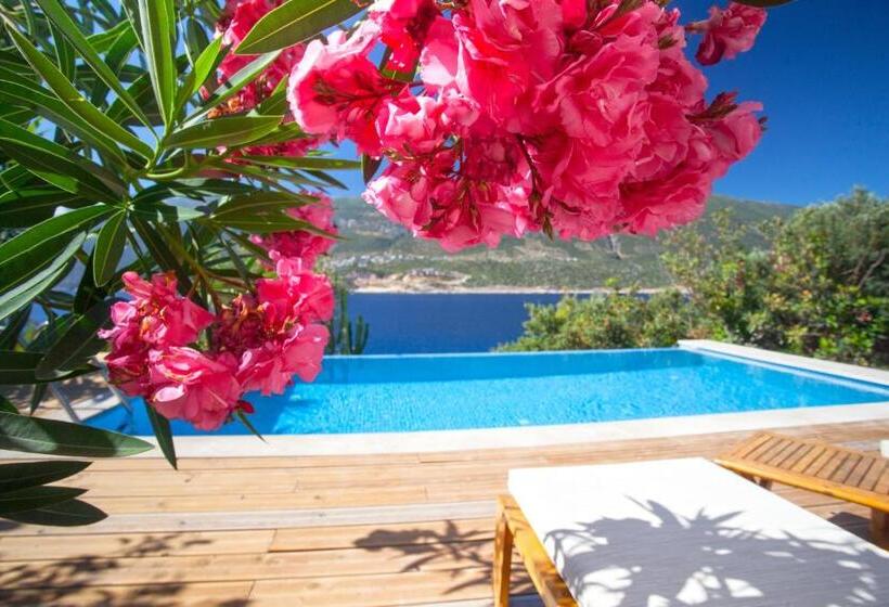 חדר דלוקס, Mekvin Hotels Deniz Feneri Lighthouse