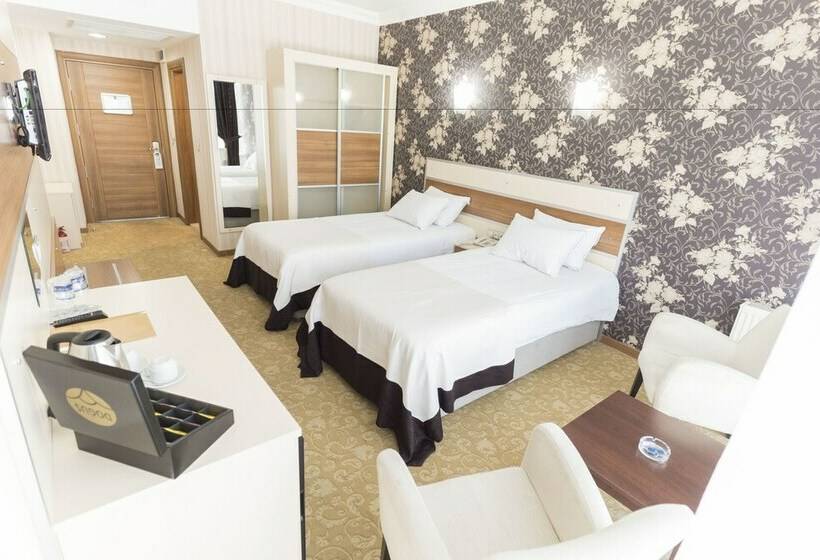 اتاق استاندارد, Grand Ser