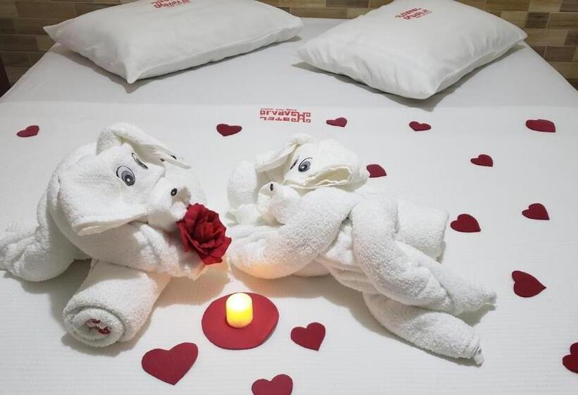 Номер Стандарт, Marajó   Turismo De Experiência