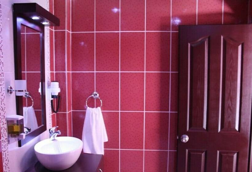 غرفة قياسية, Melis Pansiyon