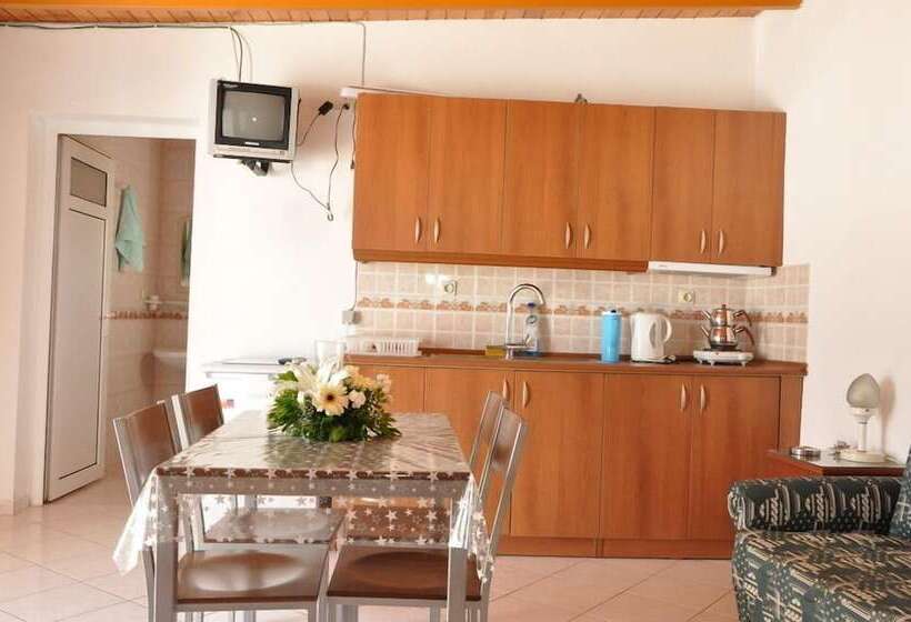 شقة غرفة واحدة, Melis Pansiyon