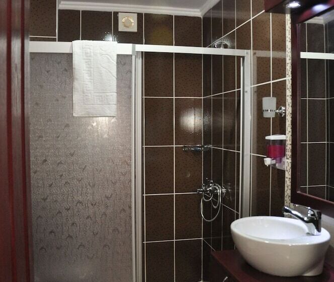 شقة غرفة واحدة, Melis Pansiyon