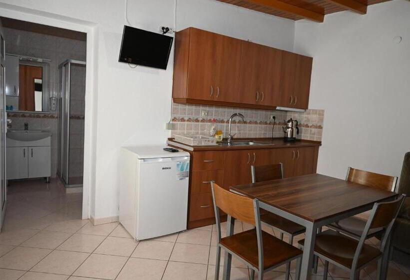 شقة غرفة واحدة, Melis Pansiyon