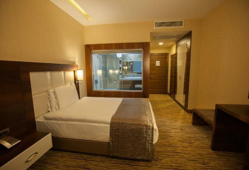 Номер Стандарт Индивидуальный, Mitannia Regency