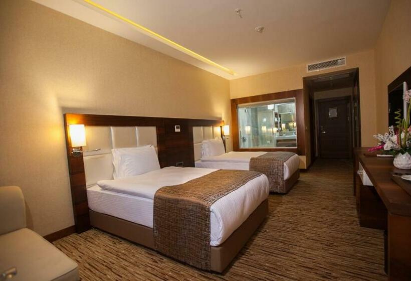 Номер Стандарт 2 Двуспальные Кровати, Mitannia Regency
