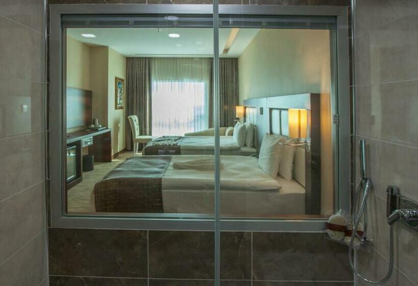 Номер Стандарт 2 Двуспальные Кровати, Mitannia Regency