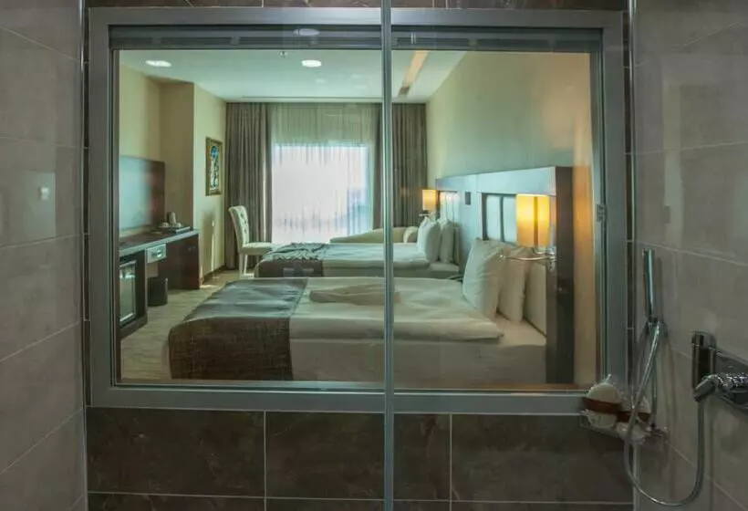 اتاق استاندارد با 2 تخت دوبل, Mitannia Regency