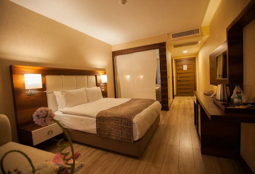 Номер Стандарт Индивидуальный, Mitannia Regency