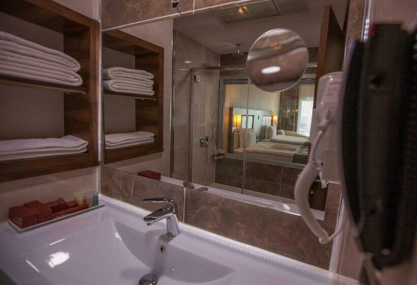 Номер Стандарт 2 Двуспальные Кровати, Mitannia Regency