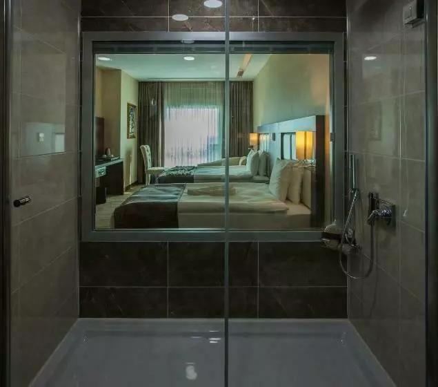 اتاق استاندارد با 2 تخت دوبل, Mitannia Regency