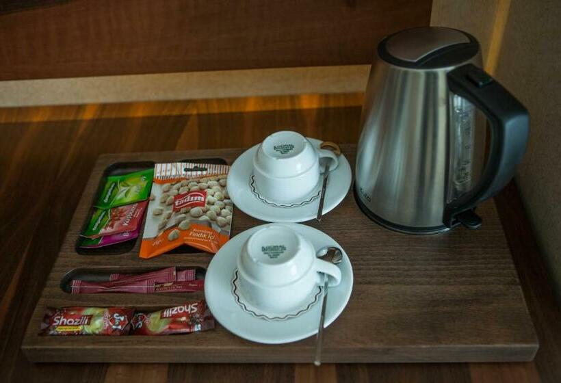 Номер Стандарт 2 Двуспальные Кровати, Mitannia Regency