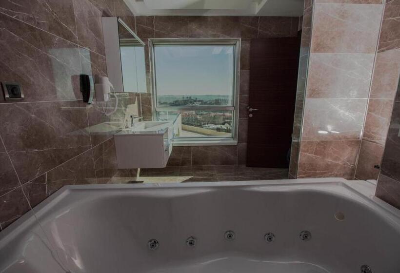 Люкс Повышенной Комфортности, Mitannia Regency