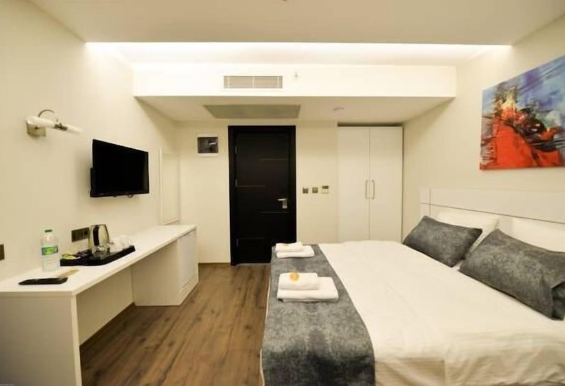 Camera Standard, Zeytindali