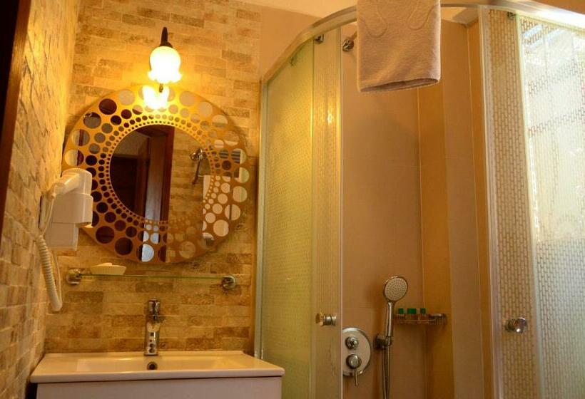 اتاق استاندارد, Ada Bacchus