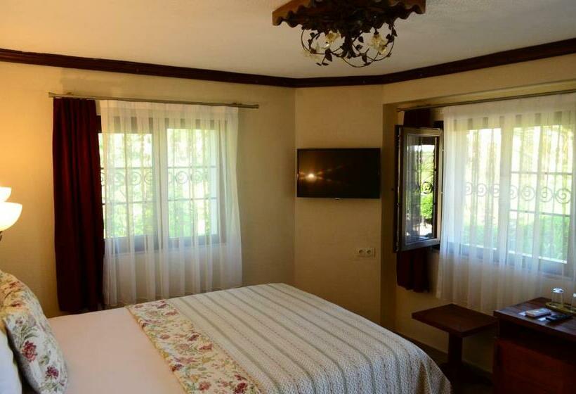 اتاق استاندارد, Ada Bacchus