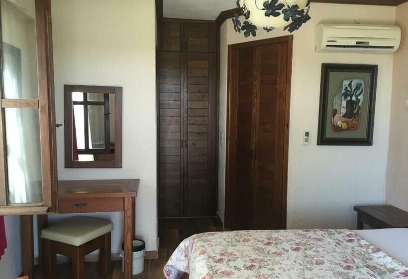 اتاق استاندارد, Ada Bacchus