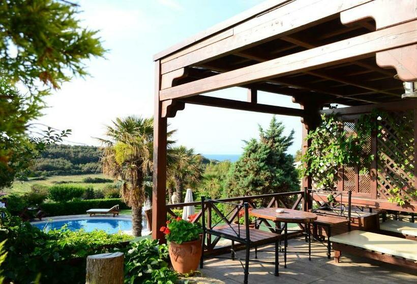 اتاق استاندارد, Ada Bacchus