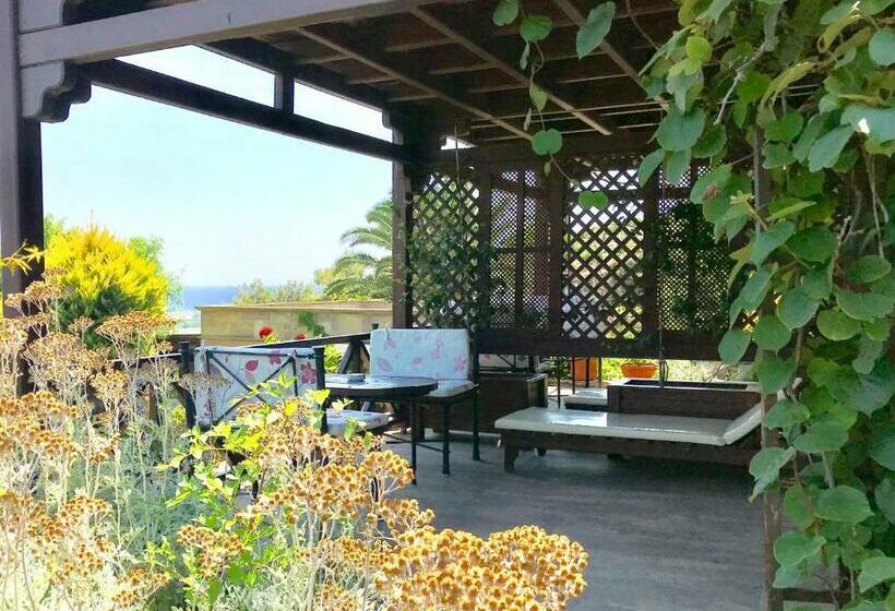 اتاق استاندارد, Ada Bacchus