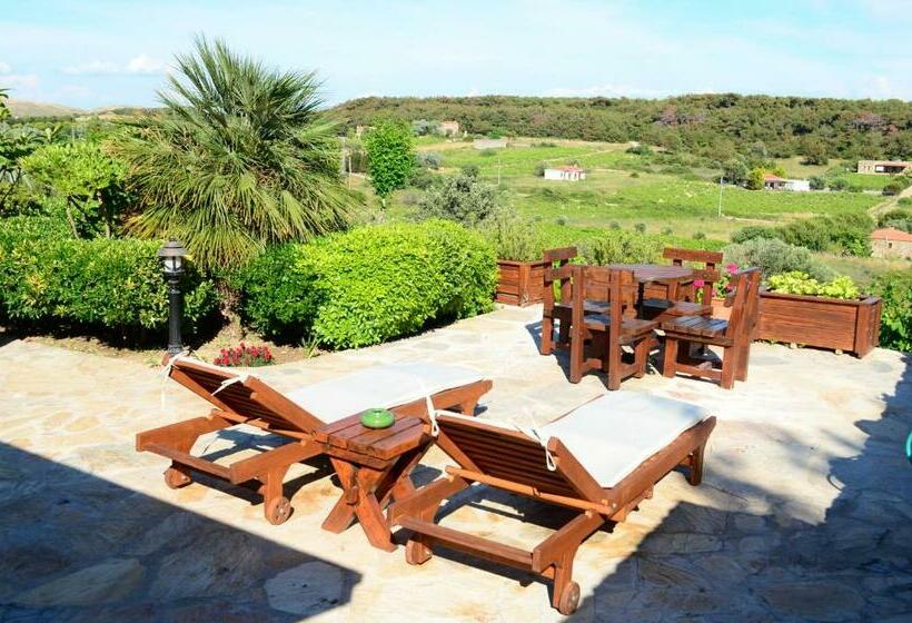 اتاق استاندارد, Ada Bacchus