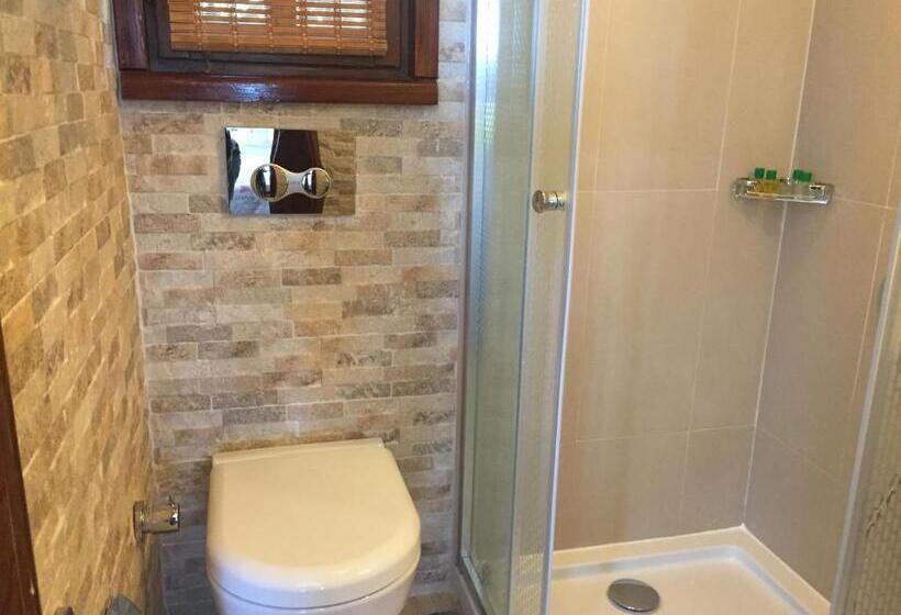 اتاق استاندارد, Ada Bacchus