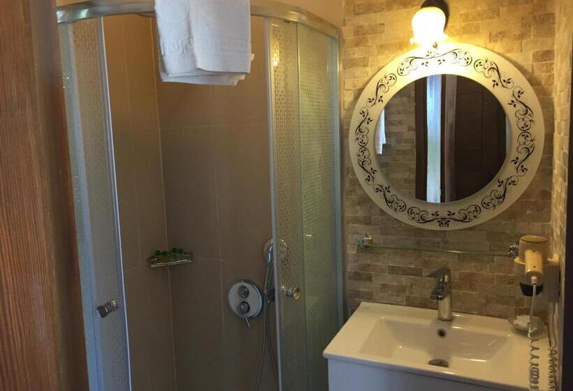 اتاق استاندارد, Ada Bacchus