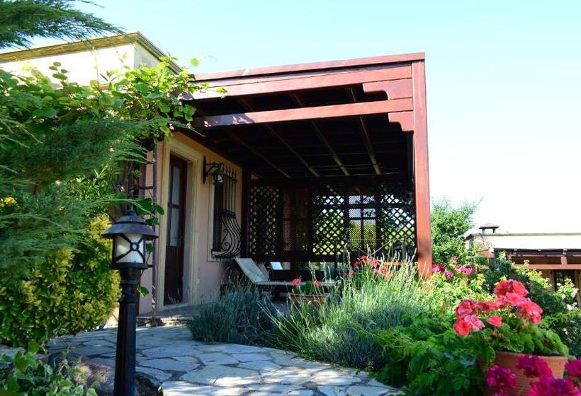 اتاق استاندارد, Ada Bacchus