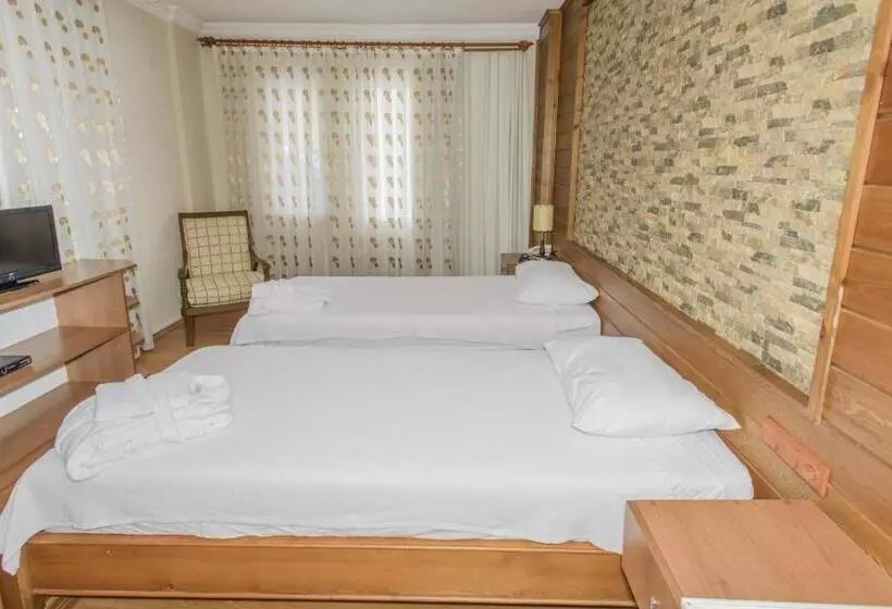 اتاق استاندارد با بالکن, Dedeminn Garden