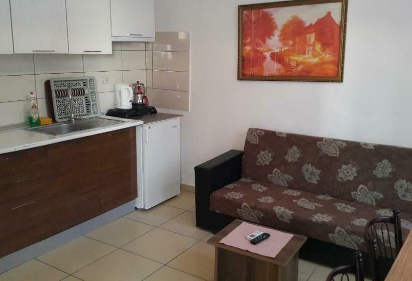 آپارتمان 1 خوابه, Delphin Apart