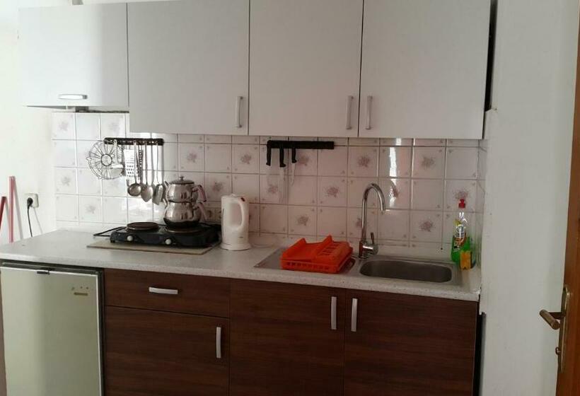 آپارتمان 1 خوابه, Delphin Apart