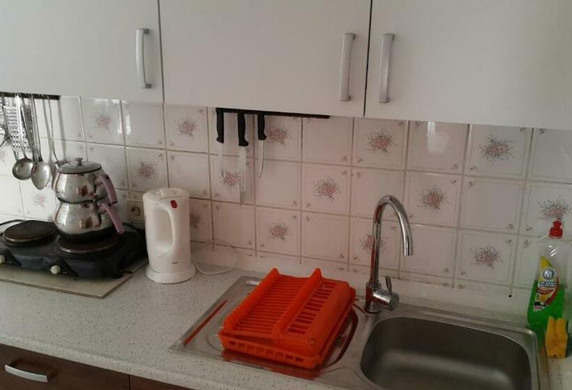 آپارتمان 1 خوابه, Delphin Apart