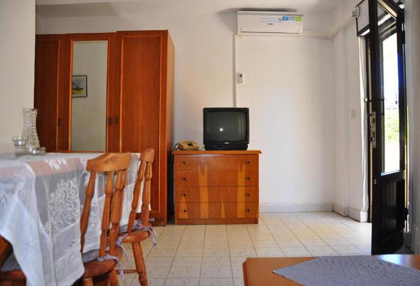 آپارتمان 1 خوابه, Delphin Apart