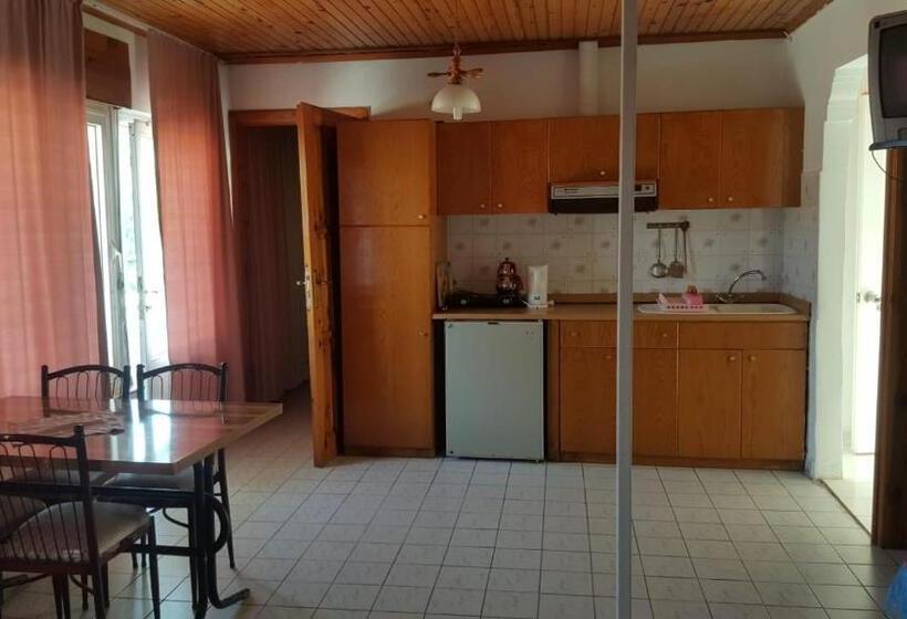 آپارتمان 1 خوابه با تراس, Delphin Apart