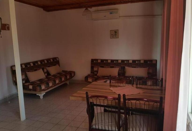 آپارتمان 1 خوابه با تراس, Delphin Apart