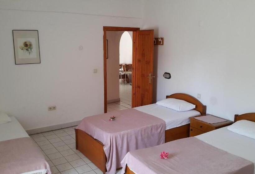 آپارتمان 2 خوابه, Delphin Apart