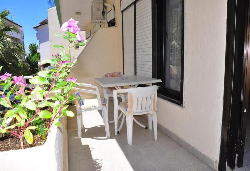 آپارتمان 1 خوابه, Delphin Apart