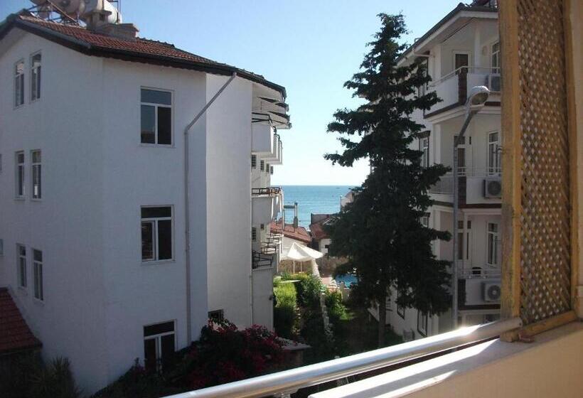 اتاق استاندارد با آشپزخانه, Delphin Apart