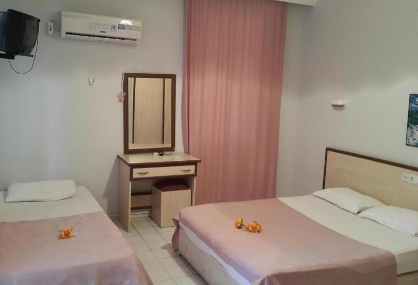 اتاق استاندارد با آشپزخانه, Delphin Apart