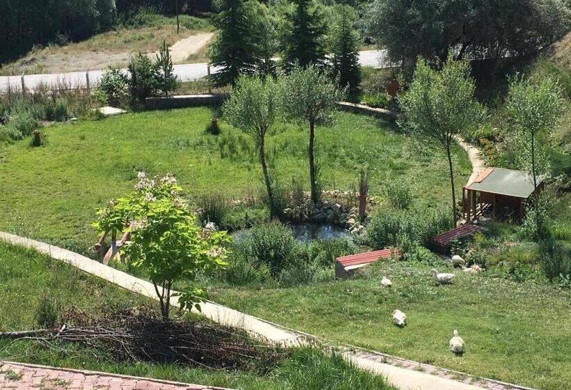 ‫فيلا غرفة نوم واحدة, Doc S Wellness & Spa