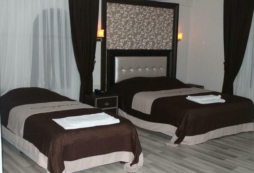 اتاق استاندارد سه نفره, Ozcavusoglu