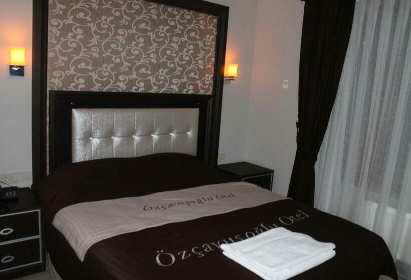 اتاق استاندارد یک نفره, Ozcavusoglu