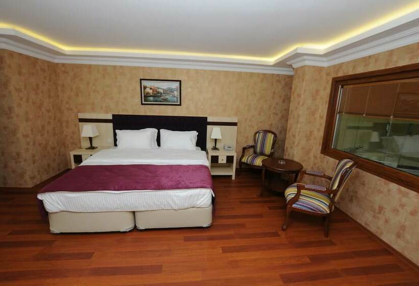 带海景的复工套房, Phellos Suites