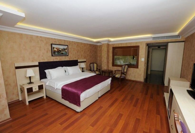 带海景的复工套房, Phellos Suites