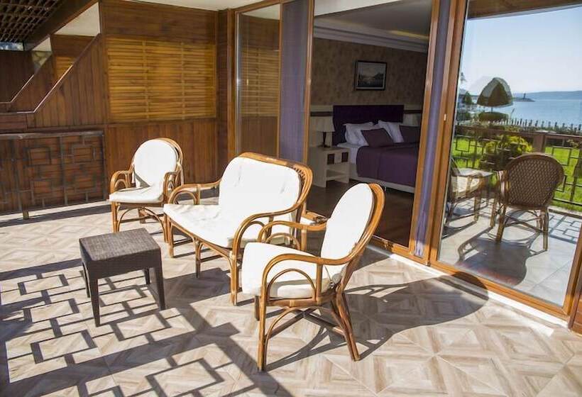 带海景的复工套房, Phellos Suites