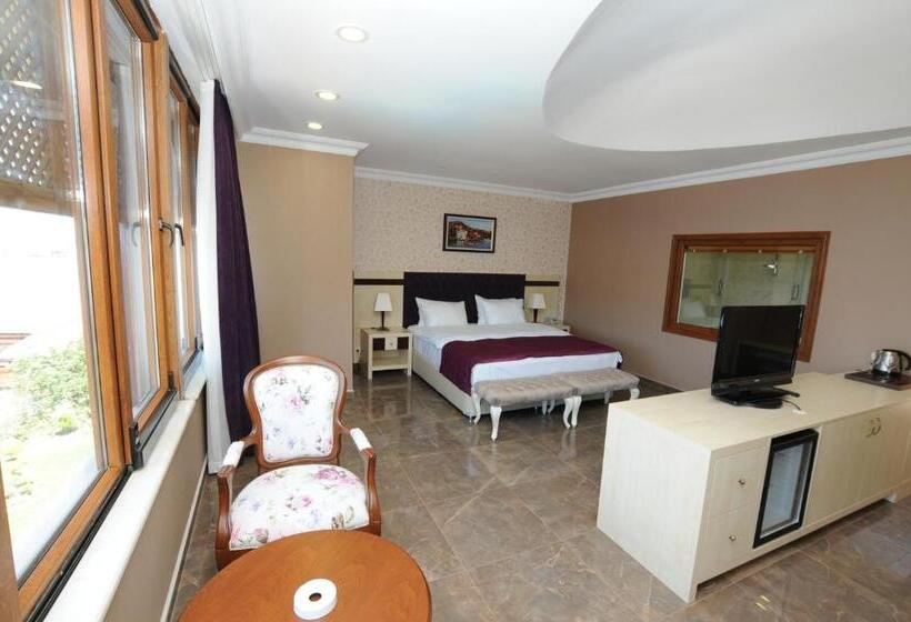 带海景的复工套房, Phellos Suites