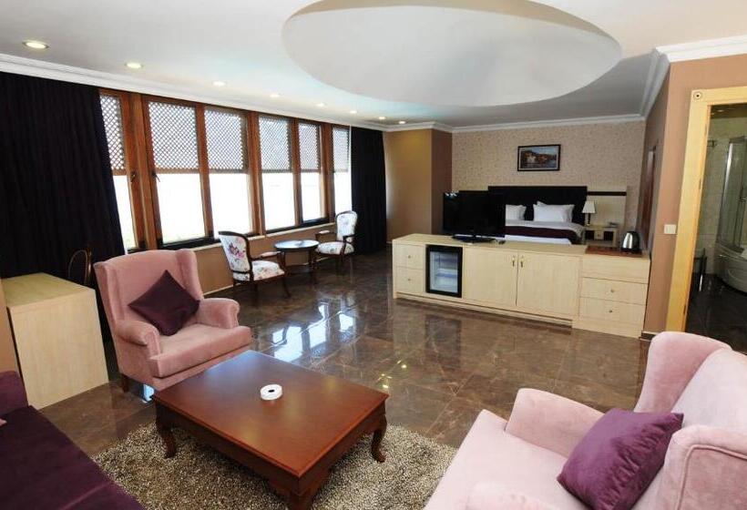 带海景的复工套房, Phellos Suites