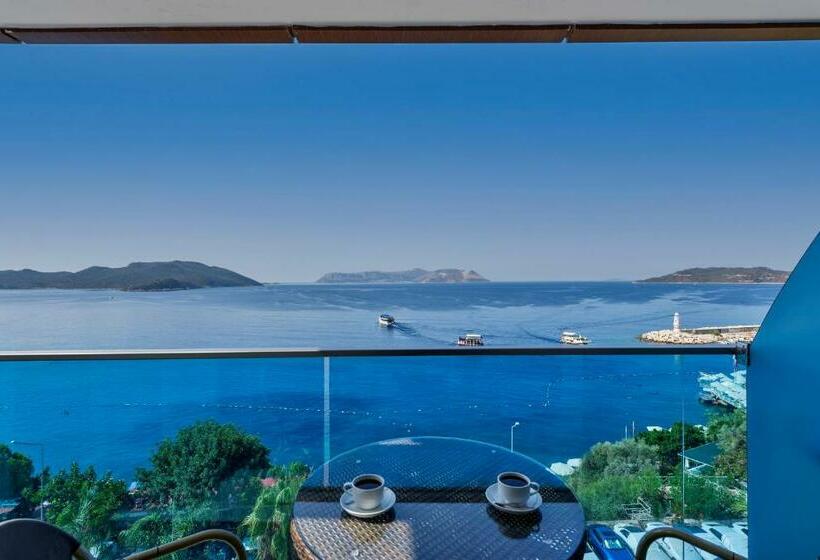 חדר דלוקס עם מרפסת נוף לים, Sea View