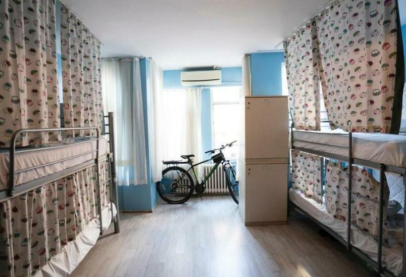 تختخواب در اتاق مشترک, Puffin Boutique Istanbul