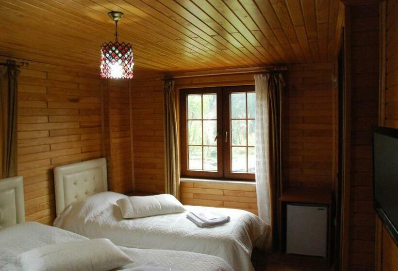 غرفة قياسية, Ayder Umit