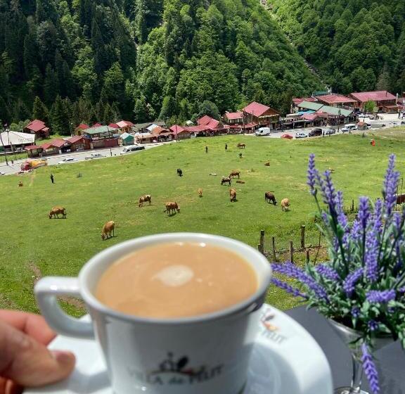 سوئیت با چشمانداز, Ayder Villa De Pelit